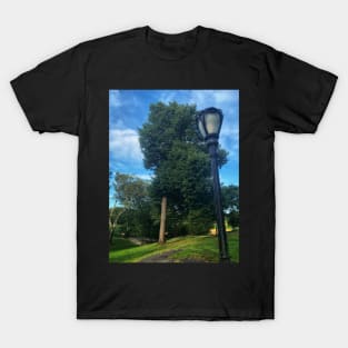 Central Park, Manhattan, New York City T-Shirt